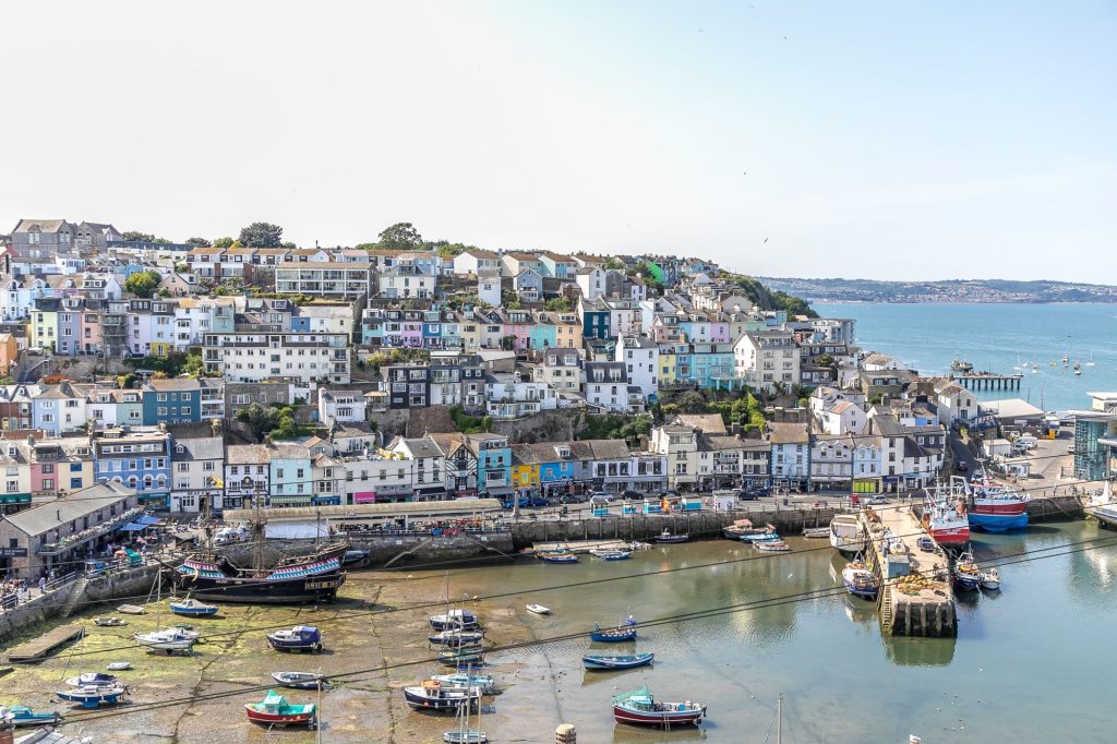 Plenty to see every day in Brixham